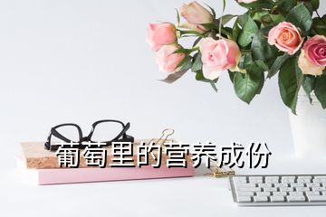 葡萄里的营养成份