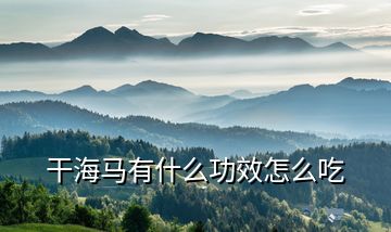 干海马有什么功效怎么吃