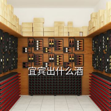 宜宾出什么酒