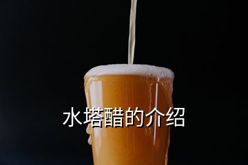 水塔醋的介绍