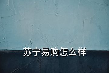 苏宁易购怎么样