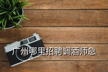 广州哪里招聘调酒师急