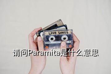 请问Paramita是什么意思