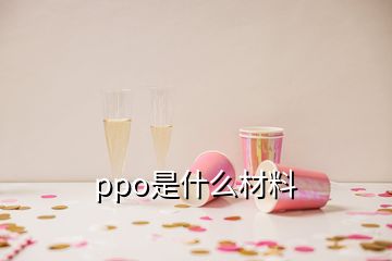 ppo是什么材料