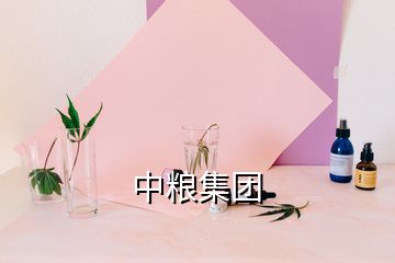 中粮集团