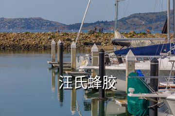 汪氏蜂胶