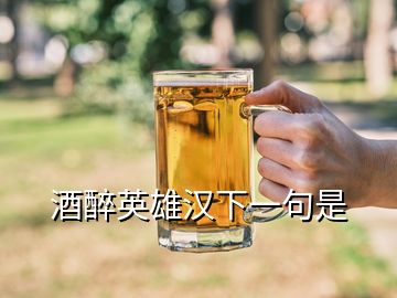 酒醉英雄汉下一句是