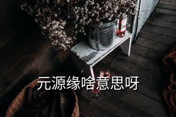 元源缘啥意思呀