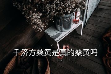 千济方桑黄是真的桑黄吗