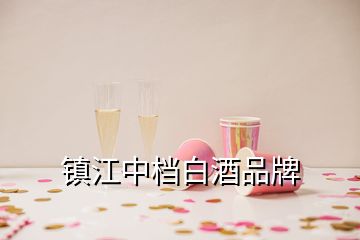 镇江中档白酒品牌