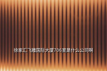 徐家汇飞雕国际大厦706室是什么公司啊