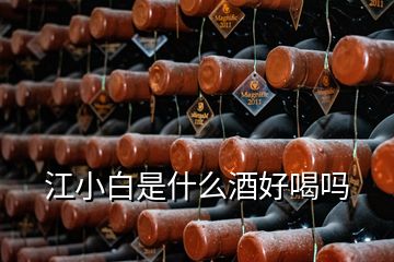 江小白是什么酒好喝吗