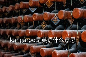 kangaroo是英语什么意思