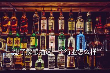 想了解酿酒这一个行业怎么样