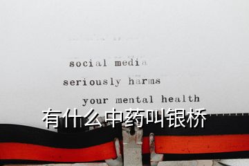 有什么中药叫银桥