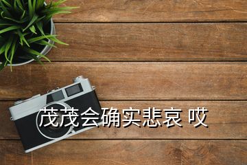 茂茂会确实悲哀 哎