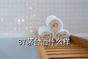 87茅台酒什么样