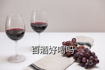 百酒好喝吗