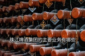 珠江啤酒集团的主要业务有哪些