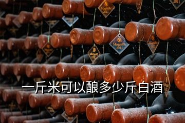 一斤米可以酿多少斤白酒