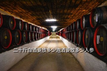 二十斤白酒要放多少泡酒要放多少人参