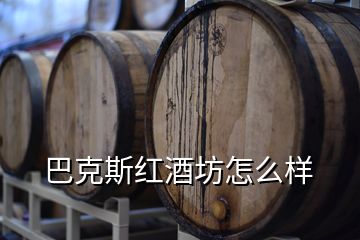 巴克斯红酒坊怎么样