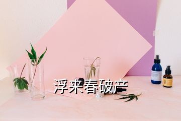 浮来春破产