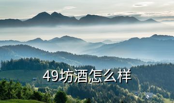 49坊酒怎么样