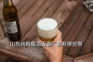 山东纯粮酿酒设备厂都有哪些啊