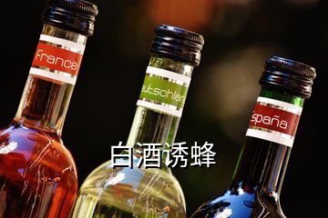 白酒诱蜂