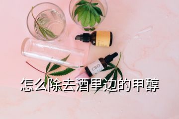 怎么除去酒里边的甲醇