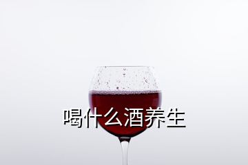 喝什么酒养生