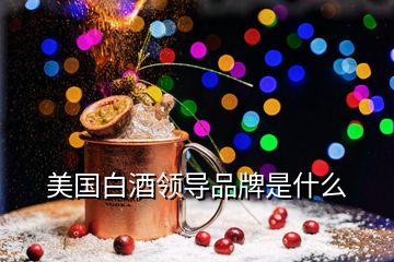 美国白酒领导品牌是什么