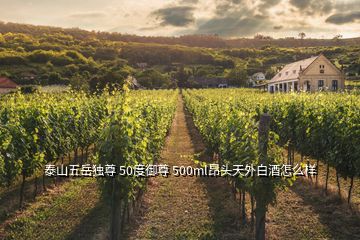 泰山五岳独尊 50度御尊 500ml昂头天外白酒怎么样