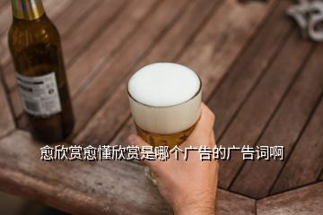 愈欣赏愈懂欣赏是哪个广告的广告词啊