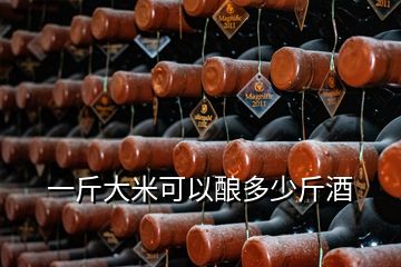 一斤大米可以酿多少斤酒