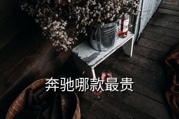 奔驰哪款最贵