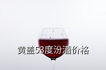 黄盖53度汾酒价格