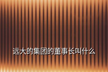 远大的集团的董事长叫什么