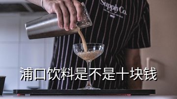 浦口饮料是不是十块钱