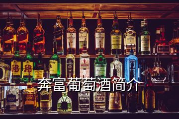 奔富葡萄酒简介