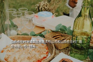 山西杏花村汾酒集团有限责任公司和山西杏花村厂股份有限公司一样吗