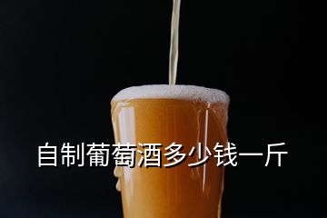 自制葡萄酒多少钱一斤