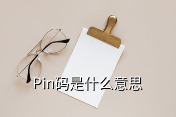 Pin码是什么意思