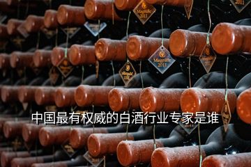 中国最有权威的白酒行业专家是谁