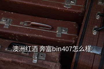 澳洲红酒 奔富bin407怎么样