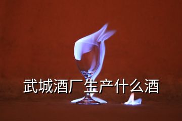 武城酒厂生产什么酒