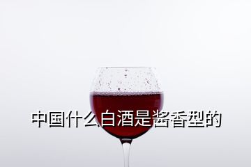 中国什么白酒是酱香型的