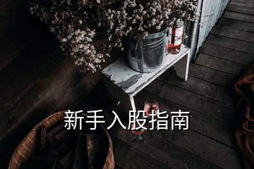 新手入股指南