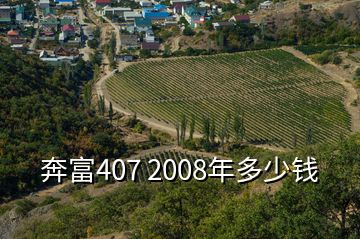 奔富407 2008年多少钱